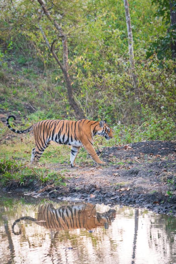Kaav Safari Lodge, Kabini Begur Bagian luar foto