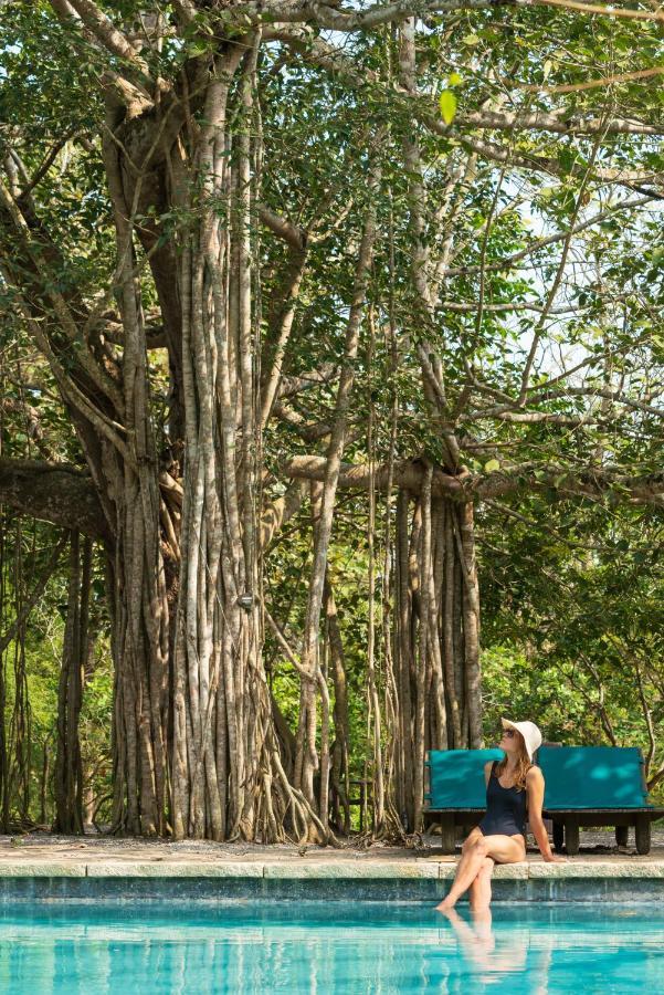 Kaav Safari Lodge, Kabini Begur Bagian luar foto