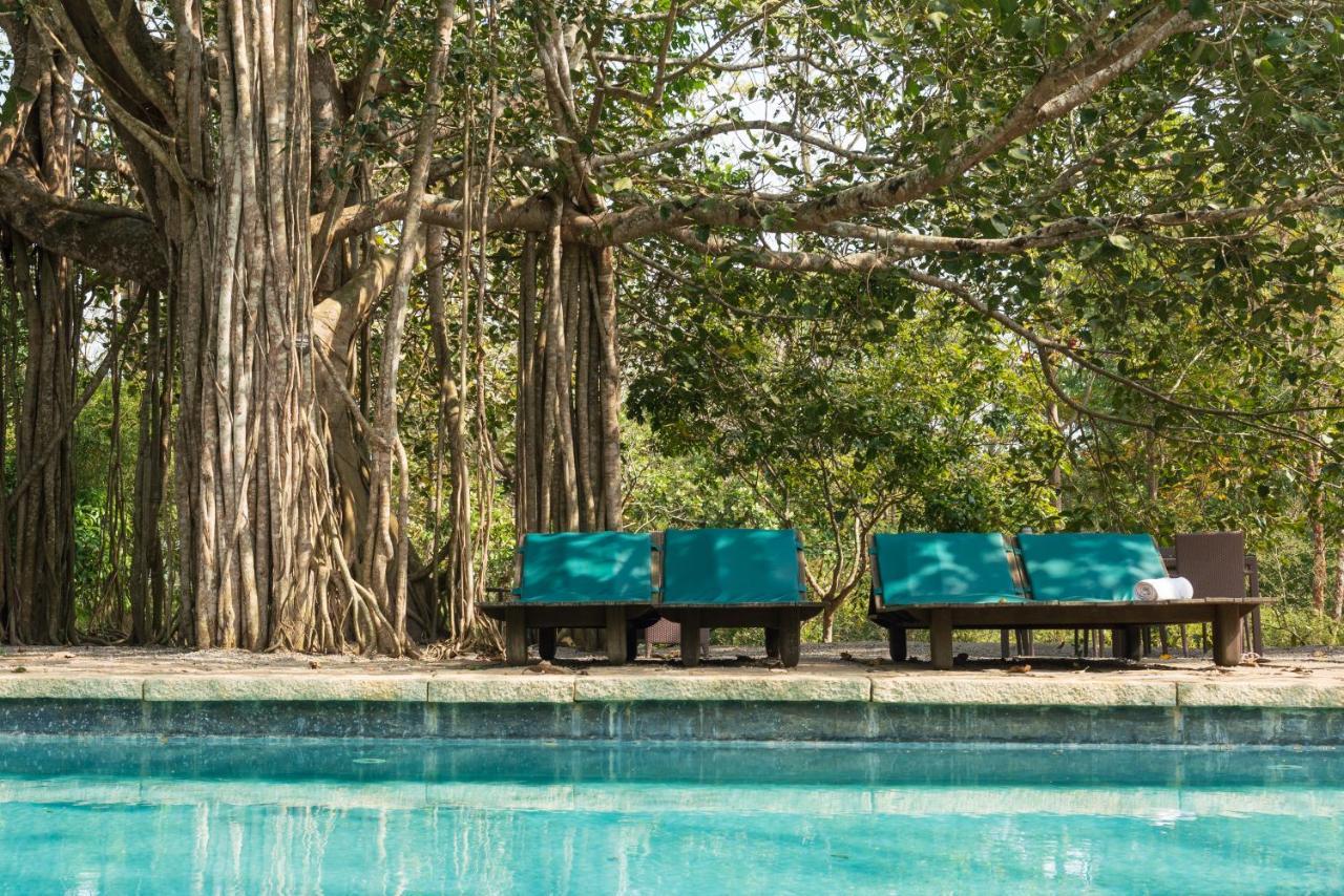 Kaav Safari Lodge, Kabini Begur Bagian luar foto