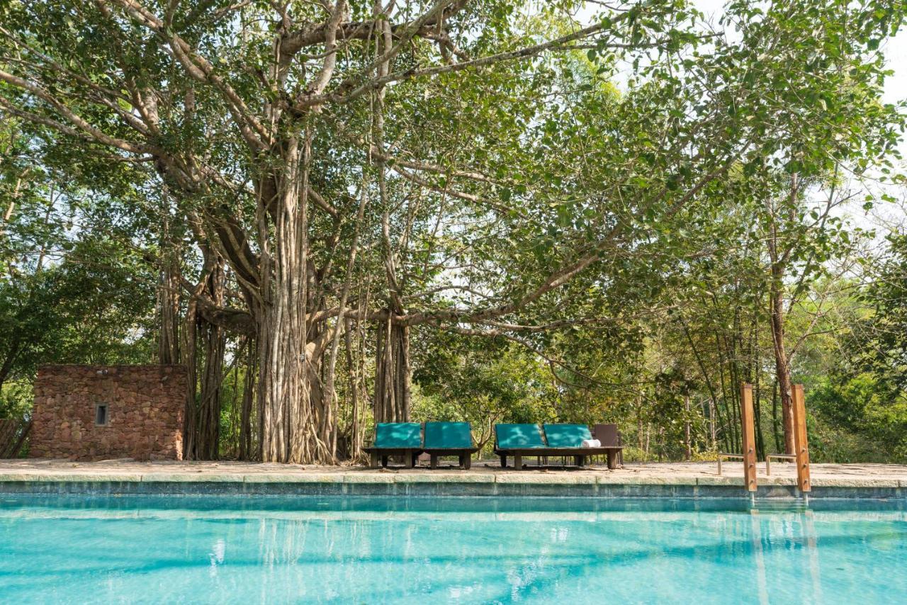 Kaav Safari Lodge, Kabini Begur Bagian luar foto