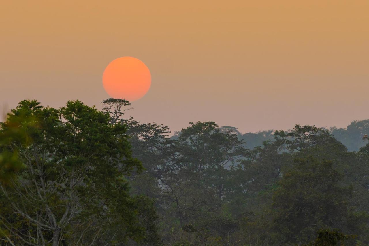 Kaav Safari Lodge, Kabini Begur Bagian luar foto